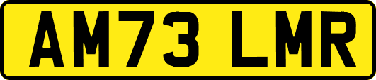 AM73LMR