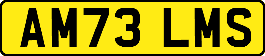 AM73LMS