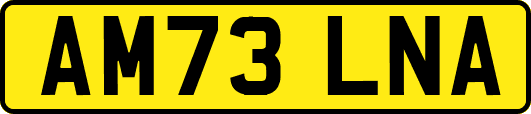 AM73LNA