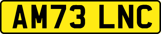 AM73LNC