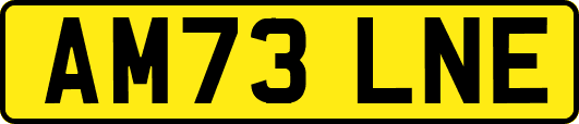 AM73LNE