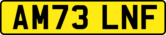 AM73LNF