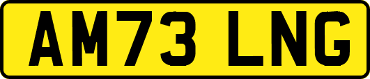 AM73LNG