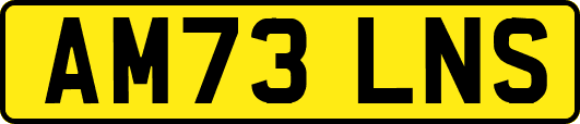 AM73LNS