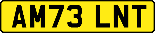 AM73LNT