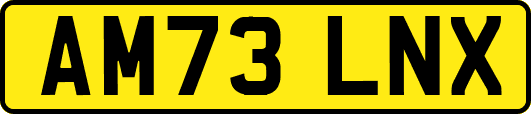AM73LNX