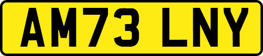 AM73LNY