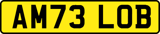 AM73LOB