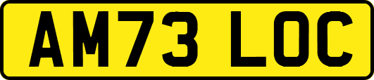 AM73LOC
