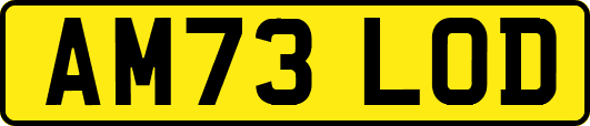 AM73LOD
