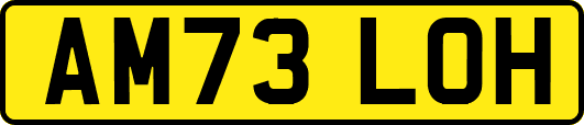 AM73LOH