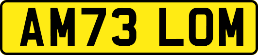 AM73LOM