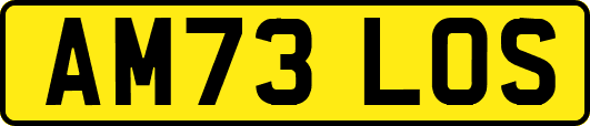 AM73LOS