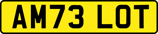 AM73LOT