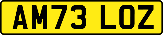 AM73LOZ