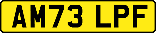 AM73LPF