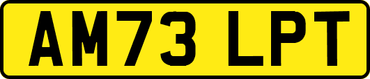 AM73LPT