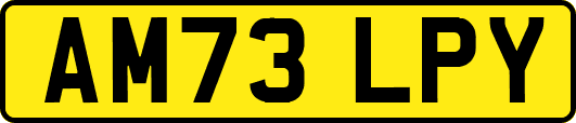 AM73LPY