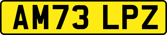 AM73LPZ