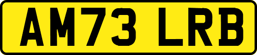 AM73LRB