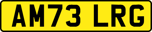 AM73LRG