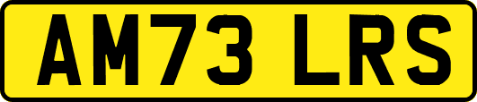 AM73LRS
