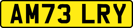 AM73LRY