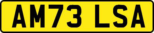 AM73LSA