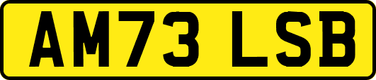 AM73LSB