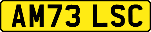 AM73LSC