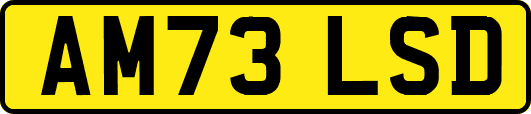 AM73LSD