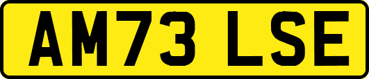 AM73LSE