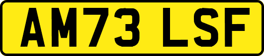 AM73LSF