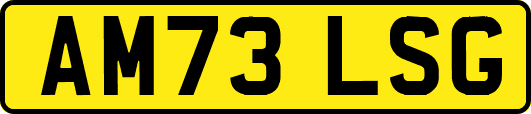 AM73LSG