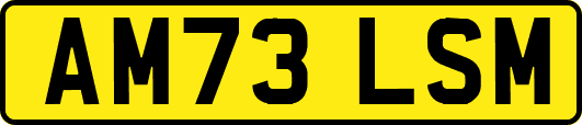 AM73LSM