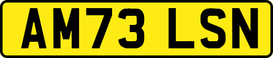 AM73LSN
