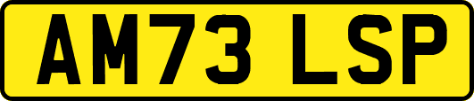 AM73LSP