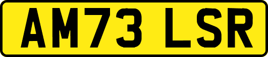 AM73LSR