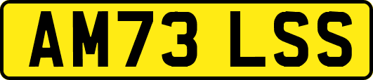 AM73LSS