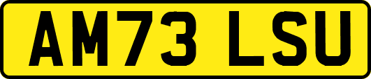 AM73LSU