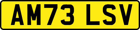 AM73LSV