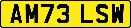 AM73LSW