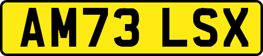 AM73LSX