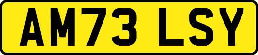 AM73LSY