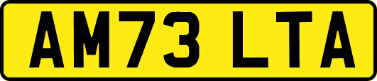 AM73LTA