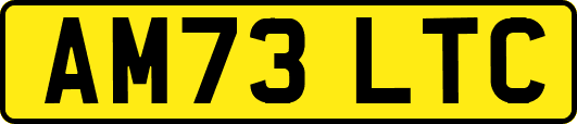 AM73LTC