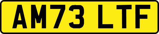 AM73LTF