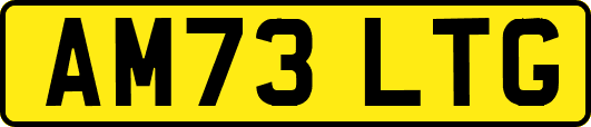 AM73LTG