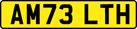 AM73LTH