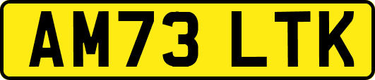 AM73LTK